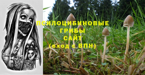 а пвп мука Аркадак