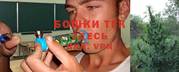PSILOCYBIN Армянск