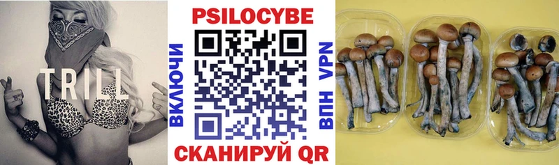Псилоцибиновые грибы ЛСД купить наркотики сайты Иланский